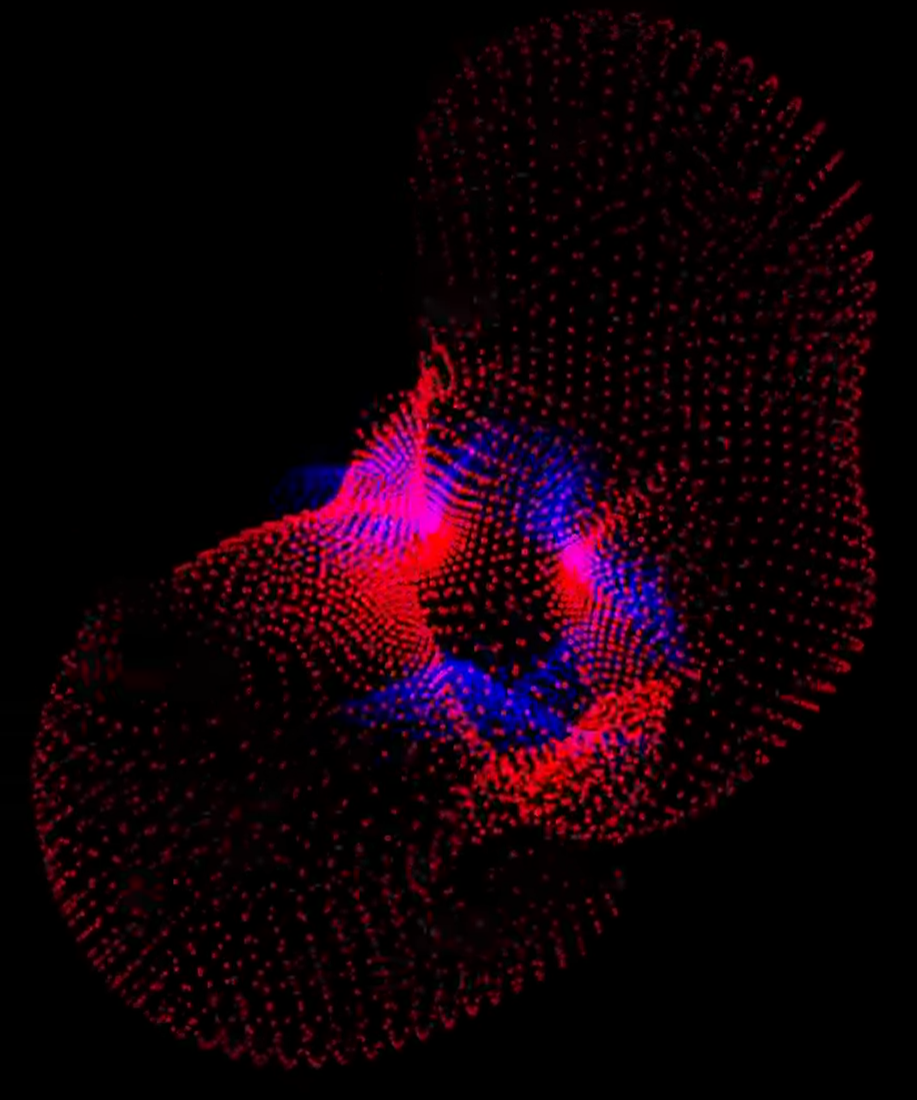 Sphere / Particulas